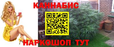 прущие крисы Малгобек