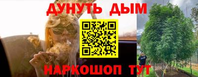прущие крисы Малгобек