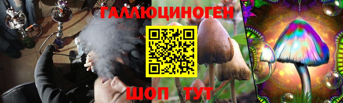 Губкин  Псилоцибиновые грибы Psilocybe  Галлюциногенные грибы Psilocybine cubensis  купить закладку  Вход с VPN 
